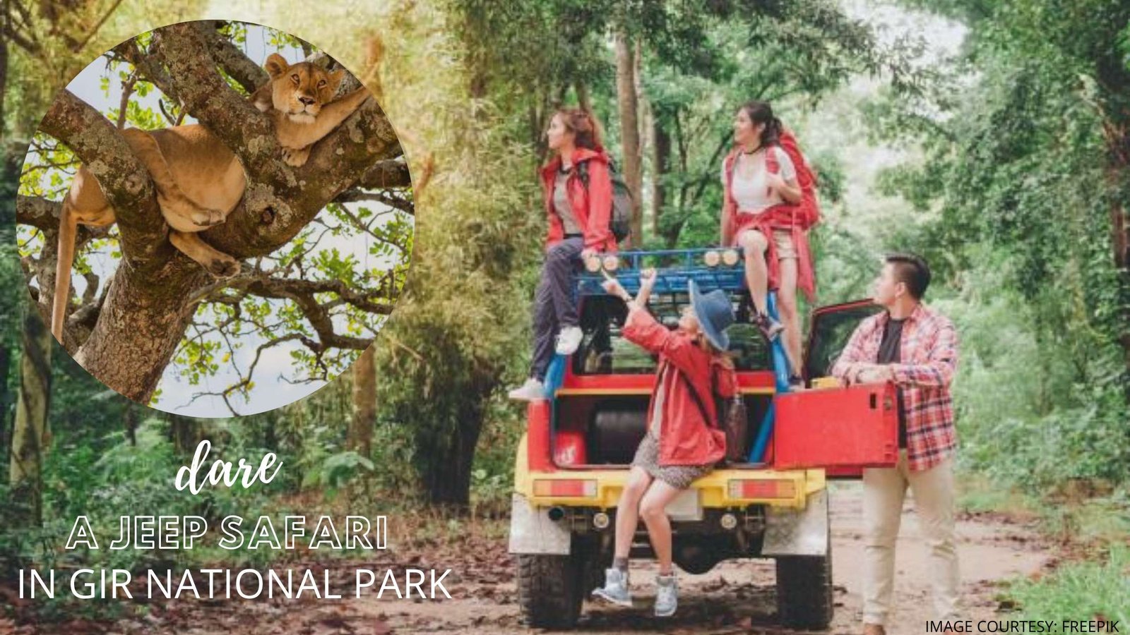 Dare A Jeep Safari in Gir National Park