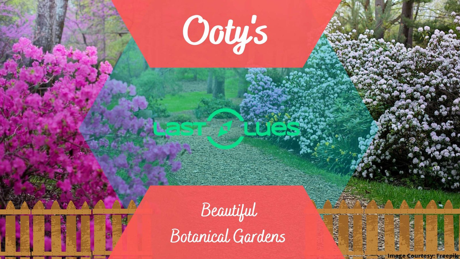 Explore the Exotic Plants and Trees in Beautiful Botanical Gardens of Ooty
