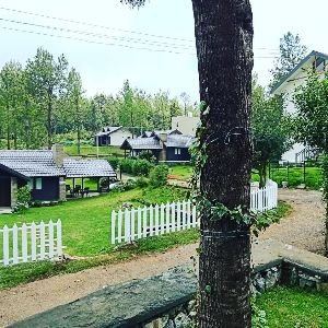 Logan Camp
